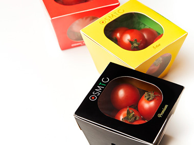 「【正社員】OSMICトマトの販促物のデザイン制作」のメイン画像