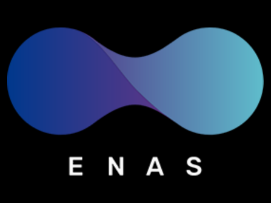 株式会社ENAS