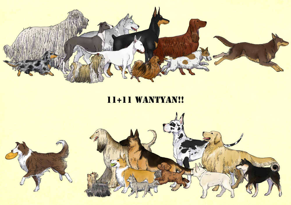 22種類の犬種のイラスト