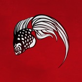 江戸金魚