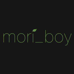 mori_boy design